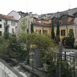 On The Roof Of The Café